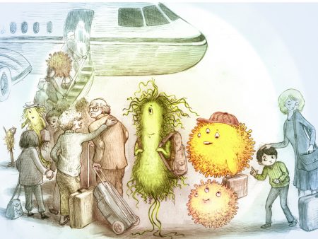 Suspicious travel companions: Bacteria can survive for days on surfaces inside a plane. But that doesn't mean you have to take these critters home with you.