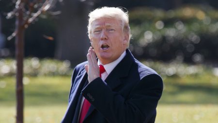 President Donald Trump said in a tweet sent out on Easter Sunday that there will not be a deal about DACA and some local pro-immigration activists are criticizing him.