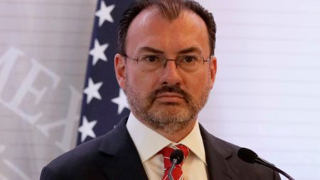 Mexican Foreign Minister Luis Videgaray says Mexico works with the U.S. on migration every day, in an apparent response to President Trump's recent tweets. He's seen here during a news conference in Mexico City in February that included then-U.S. Secretary of State Rex Tillerson.
