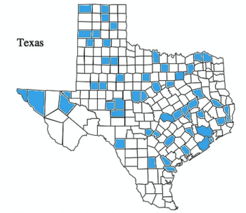 The "Healthy Skepticism" report looked at 54 counties across Texas and found about 66 percent of the women's health providers listed on the Healthy Texas Women website doesn't actually take the program.
