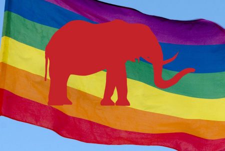 Rainbow_Flag_and_Elephant