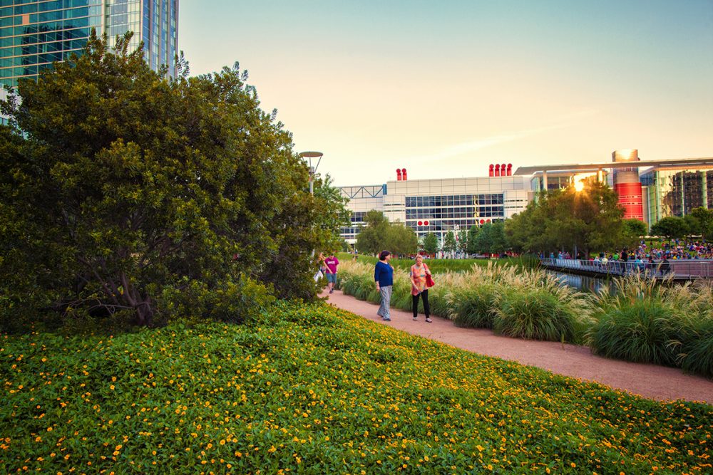 The Houston Green Top