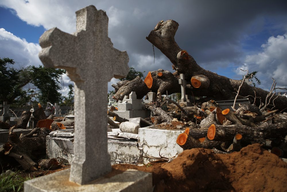A tree toppled by Hurricane Maria rests over damaged graves in the Villa Palmeras cemetery in San Juan, Puerto Rico, in December 2017.