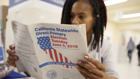 Nikko Johnson reviews the California Primary election guide at San Francisco City Hall Tuesday.