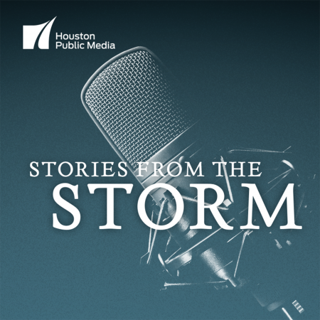 Stories from the Storm podcast logo