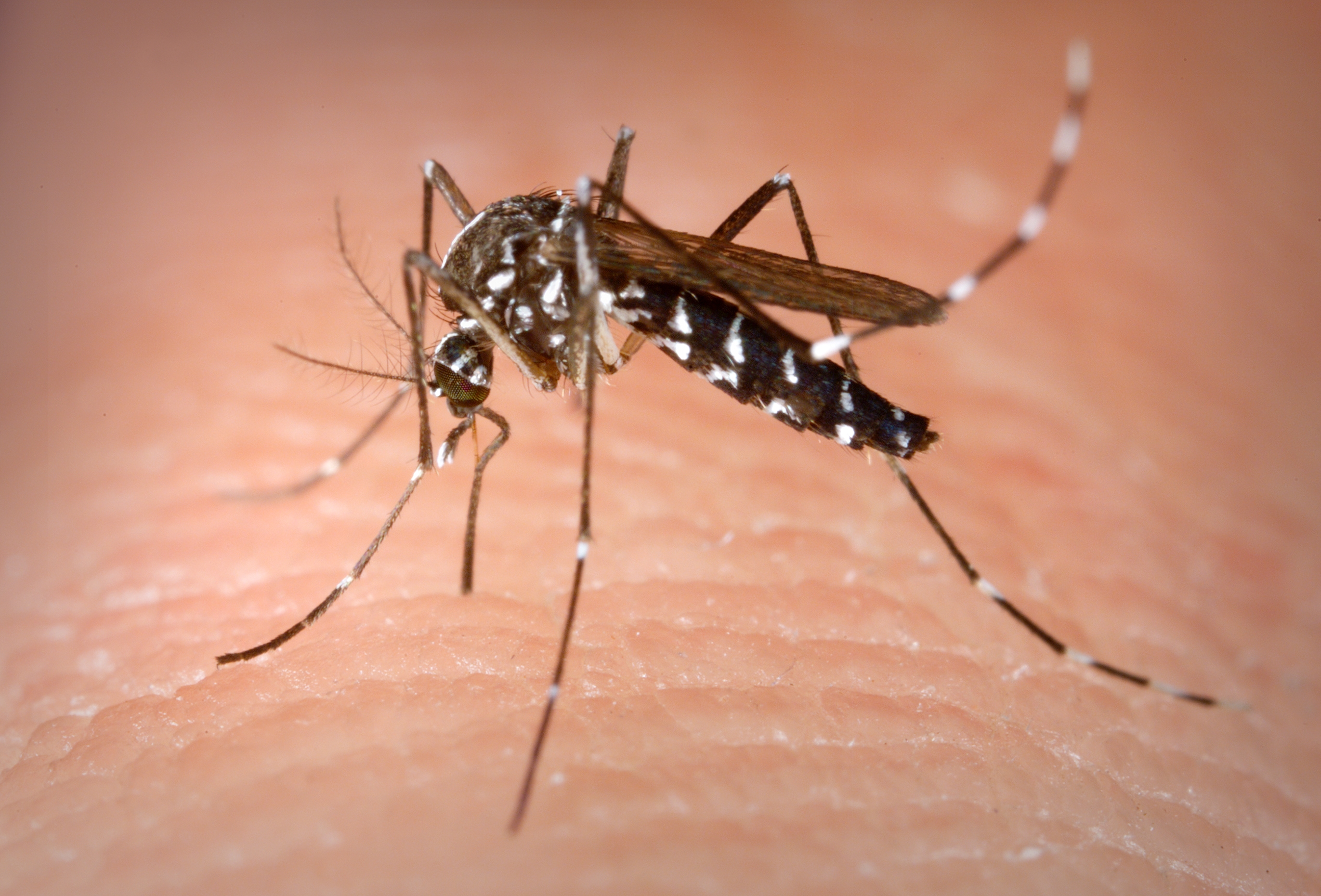 The Montgomery County Public Health District has reported the first case of West Nile Virus of 2018.
