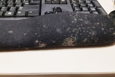 Mold on a computer wrist rest at the Austin State Hospital 636 building.