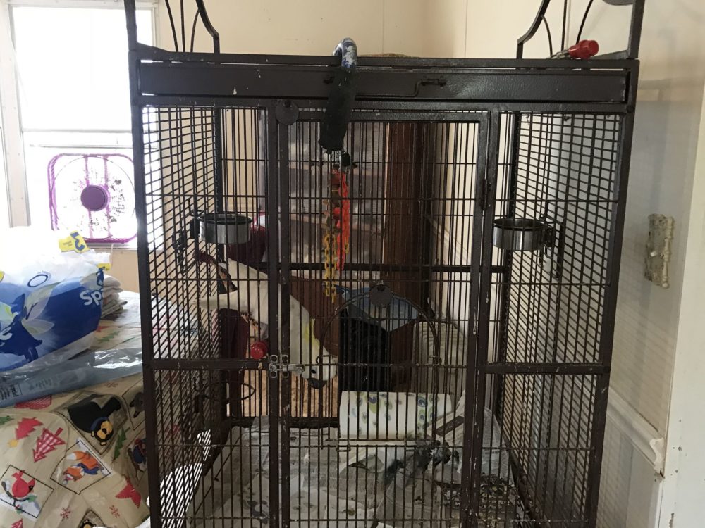 A Magnolia resident has surrendered more than 100 birds to the Houston SPCA reported because of not being able to provide proper living conditions for the animals.