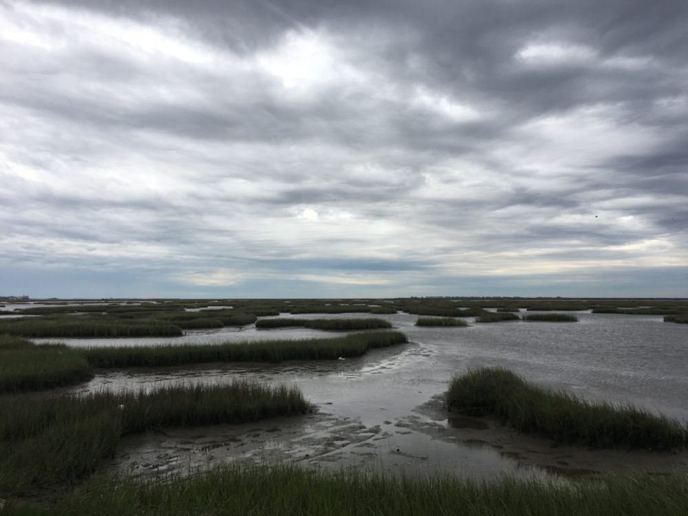 Texas Coastal Exchange says preserving coastal marshland could be key to battling climate change.