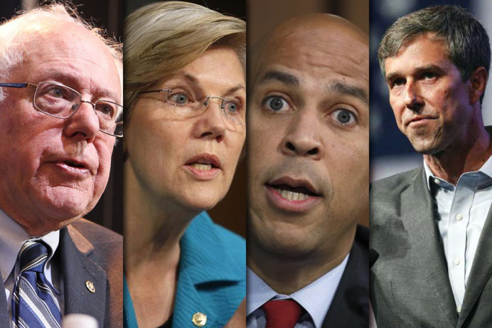 Democratic Presidential Challengers