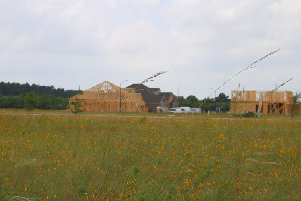 Homes under construction in the floodplain. 