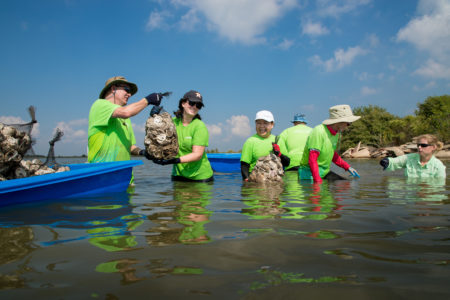 Volunteers from Aramco Services assisting with rebuilding oyster beds for the Galveston Bay Foundation in Galveston, Texas on October 13, 2017.   © 2017 Robert Seale