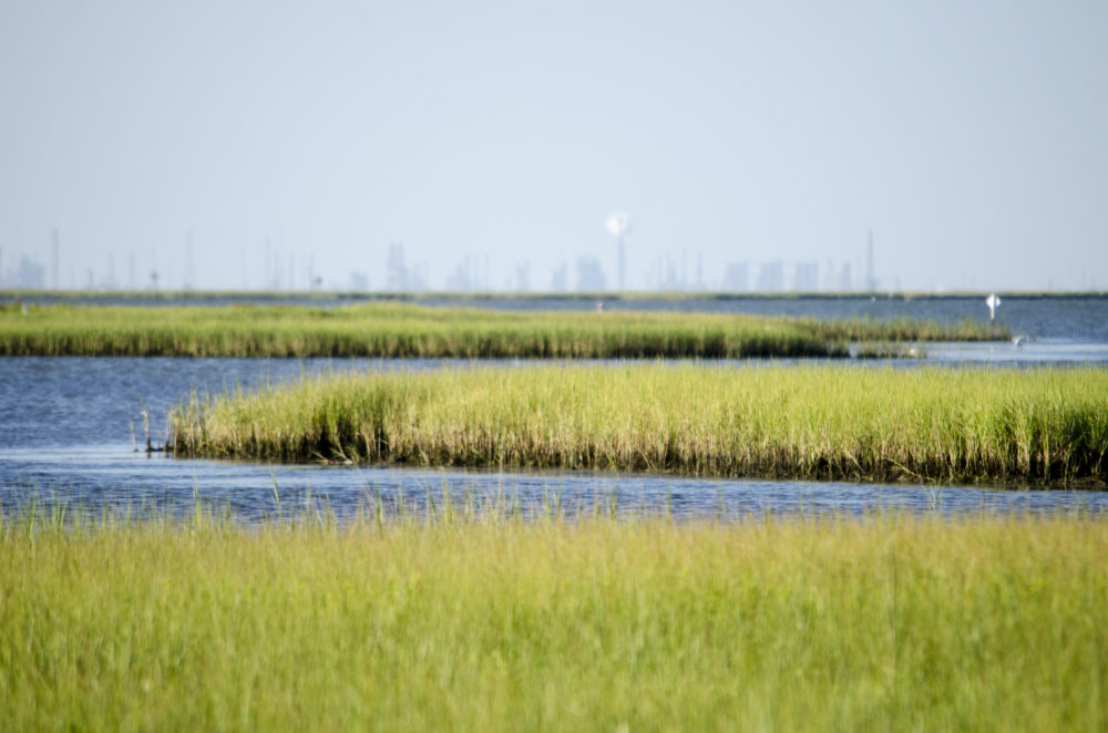 The loss of wetlands is addressed in the report. Researchers explain it’s worrisome because wetlands retain and filter water in flood situations.