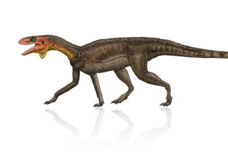 New Dinosaur Species Kwanasaurus williamparkeri