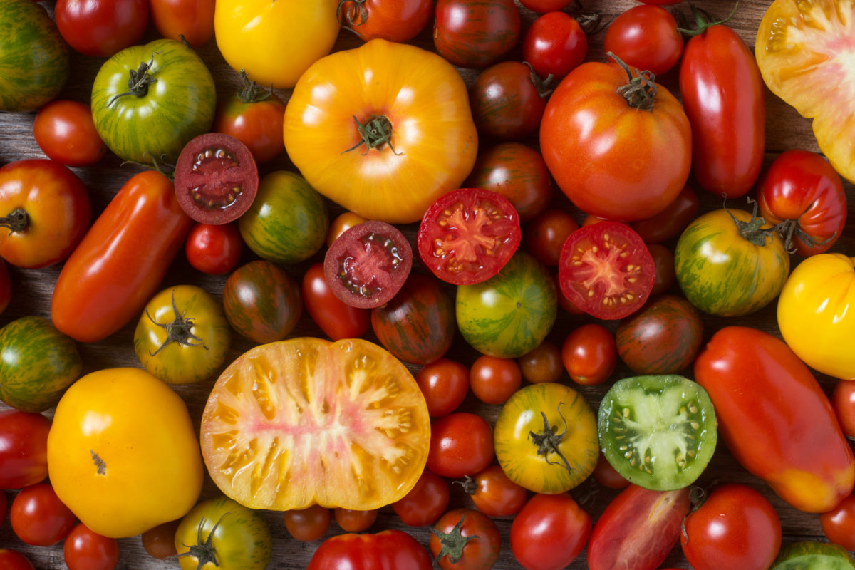 Briefcase Tomato Fruit Or Vegetable? Houston Public Media