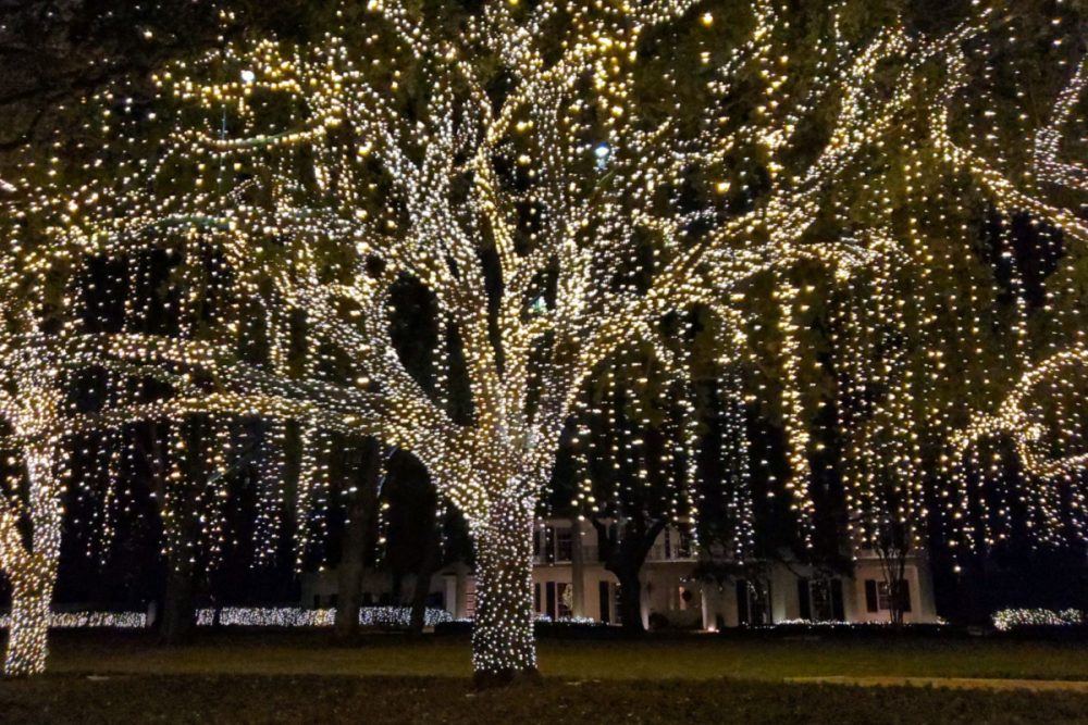 The Best Places To See Holiday Lights In Houston In 2022 Houston   Holiday Light Strings 1000x667 