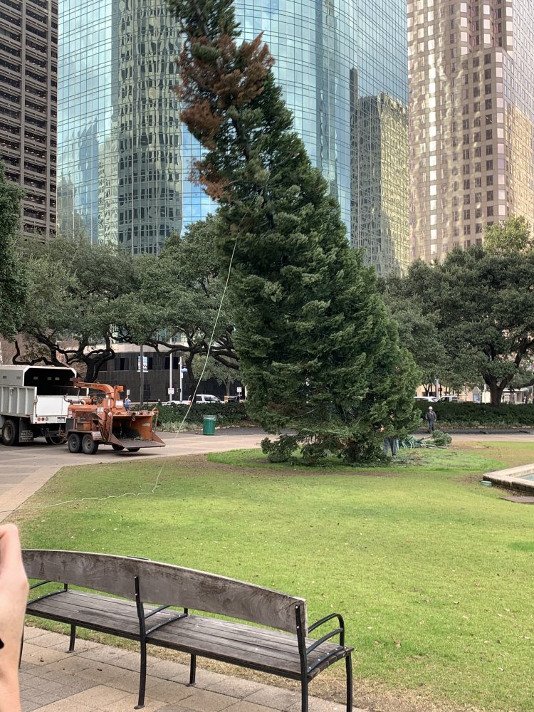 Here’s Where To Recycle Your Christmas Tree In Houston – Houston Public ...