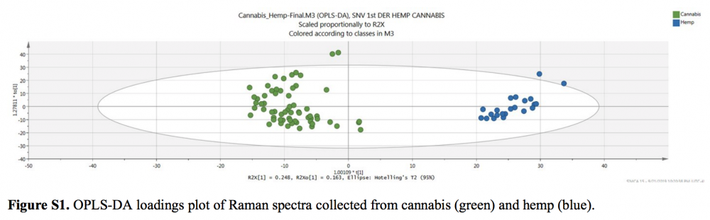 Texas Researchers Say They Found A Way To Help Cops ID Pot With