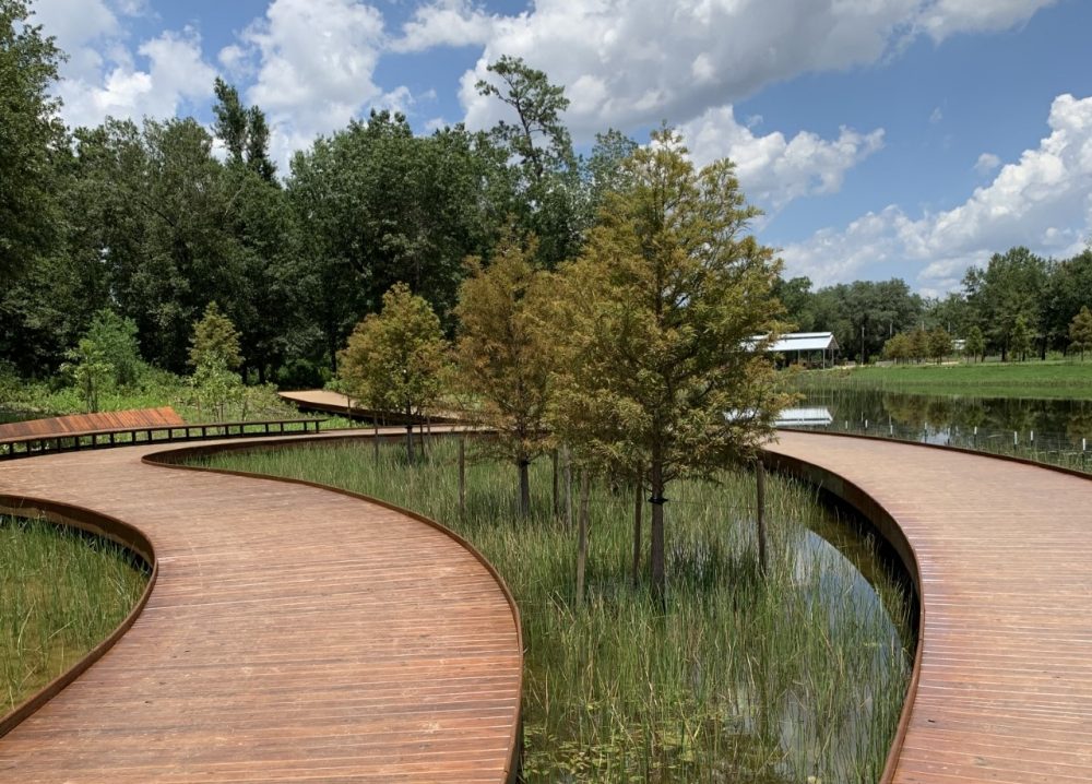 Memorial Park's New Eastern Glades Provides An Urban Wilderness Near  Downtown Houston – Houston Public Media