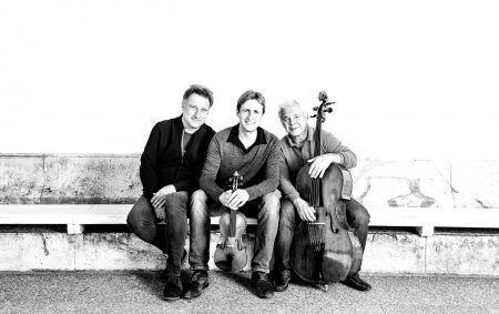 The Vienna Piano Trio: Stefan Mendl, David McCarrol, and Clemens Hagen