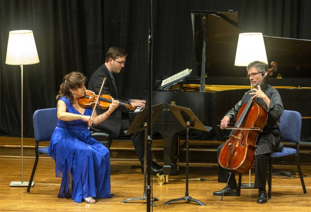 Aloyisa Friedman, Andrew Staupe, and Barrett Sills performing in concert