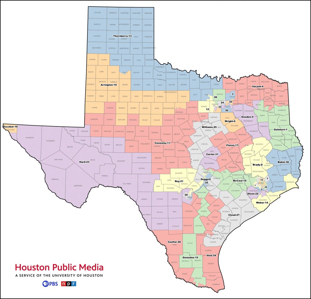 The most recent Texas congressional map.