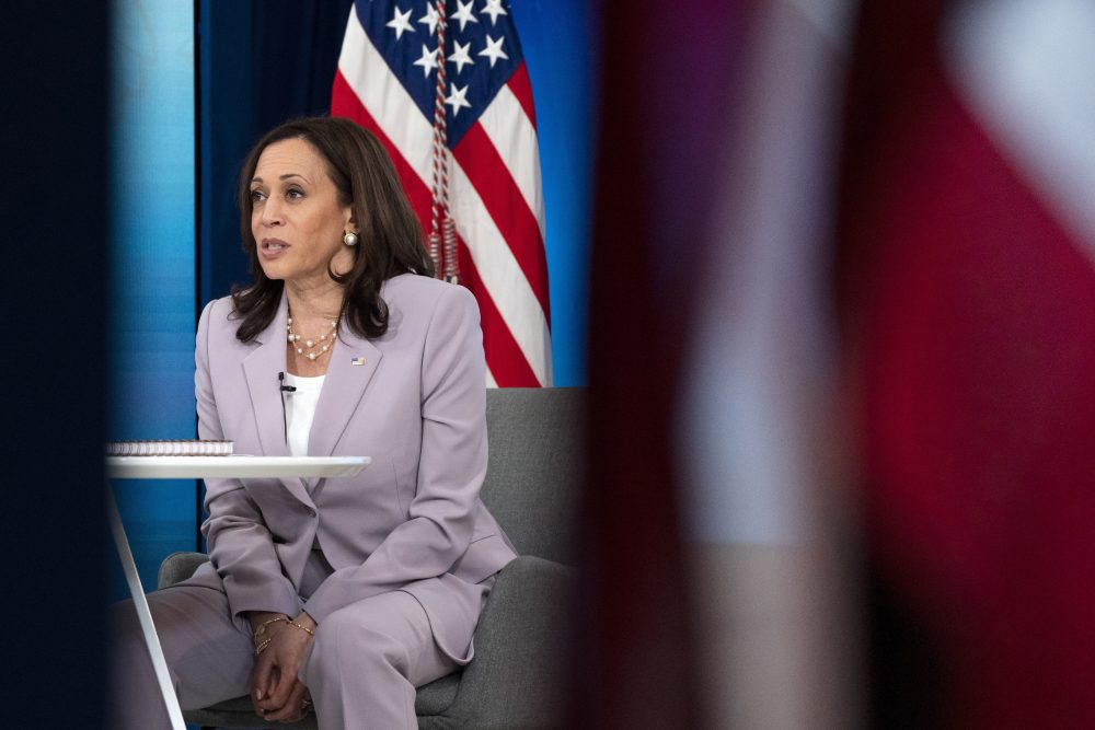 These Houston-area lawmakers support Kamala Harris’ presidential bid – Houston Public Media