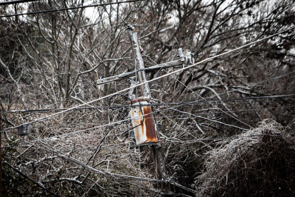 Ice covers trees and power lines in South Austin.