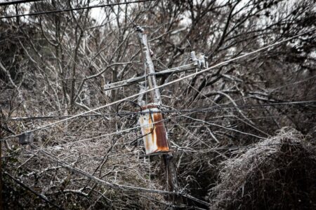Ice covers trees and power lines in South Austin.