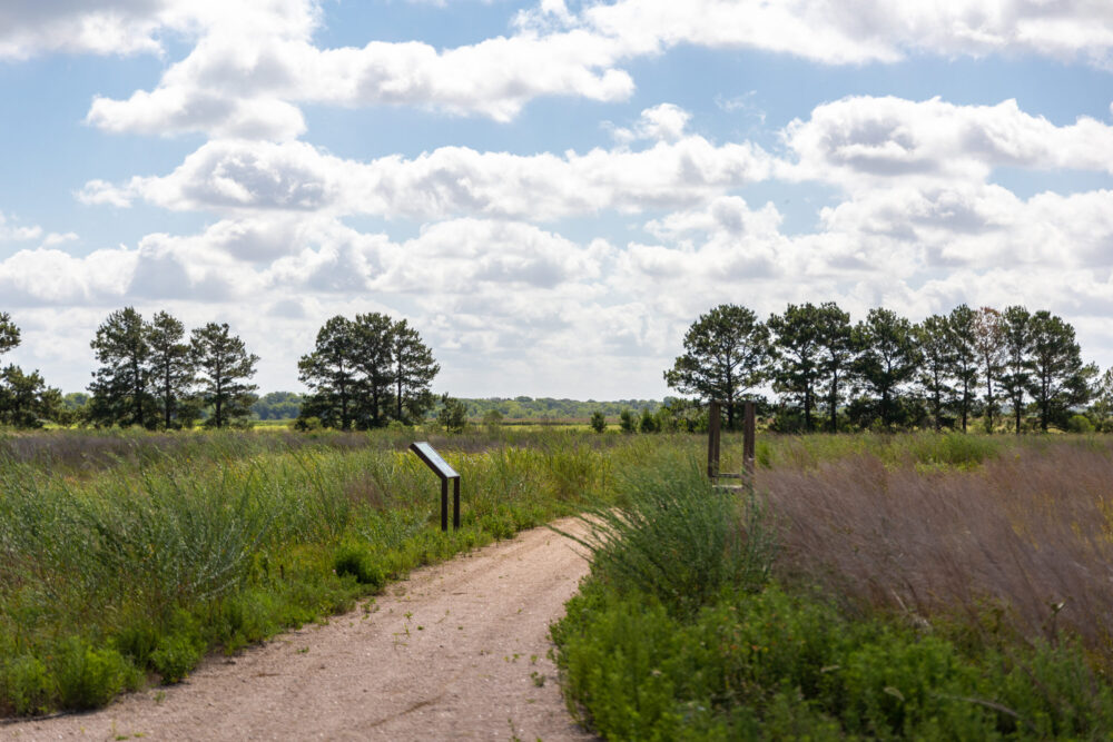 The Coastal Prairie Conservancy has worked to restore and preserve prairie habitat, which once stretched for miles along the Texas Coast.