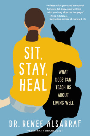 Cover.Sit Stay Heal