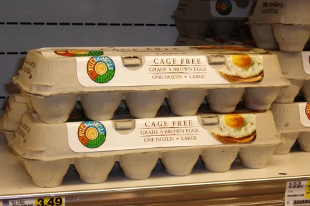 Cage-free eggs for sale in 2008 in Knoxville, Tenn.