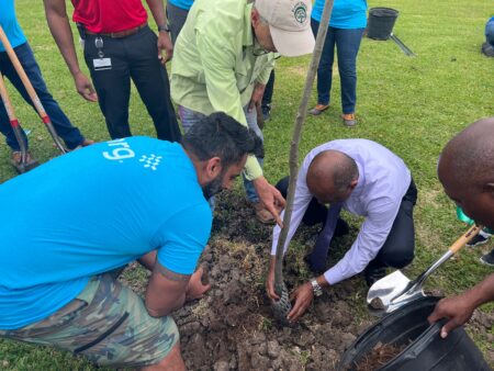Mayor Sylvester Turner helps plant trees at Tuffly Park in Kashmere Gardens, as part of the city's initiative to create more public green space in Houston.