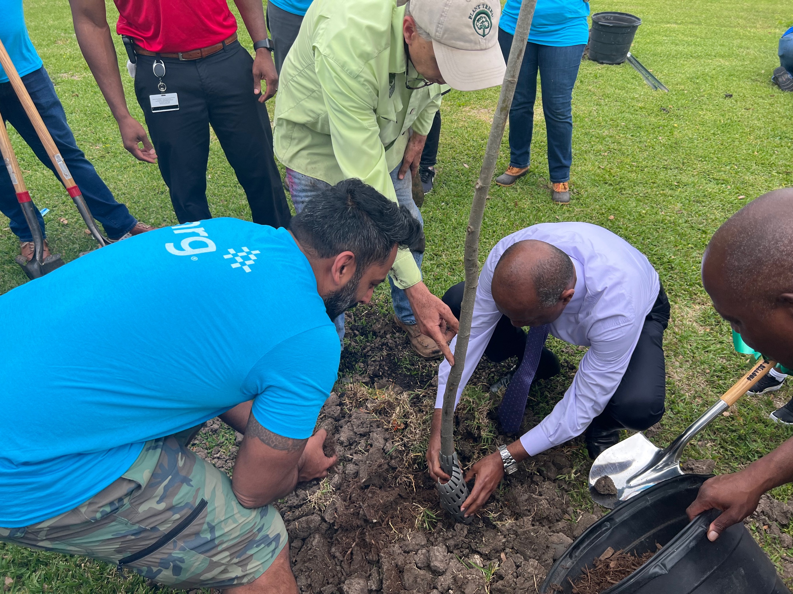 NRG helps plant trees around Houston