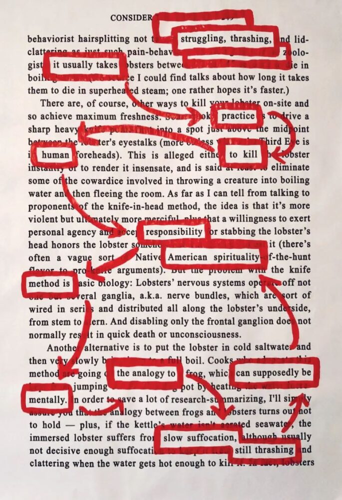 A poem Holly Lyn Walrath created from highlighting words from the essay "Consider the Lobster" by novelist David Foster Wallace.