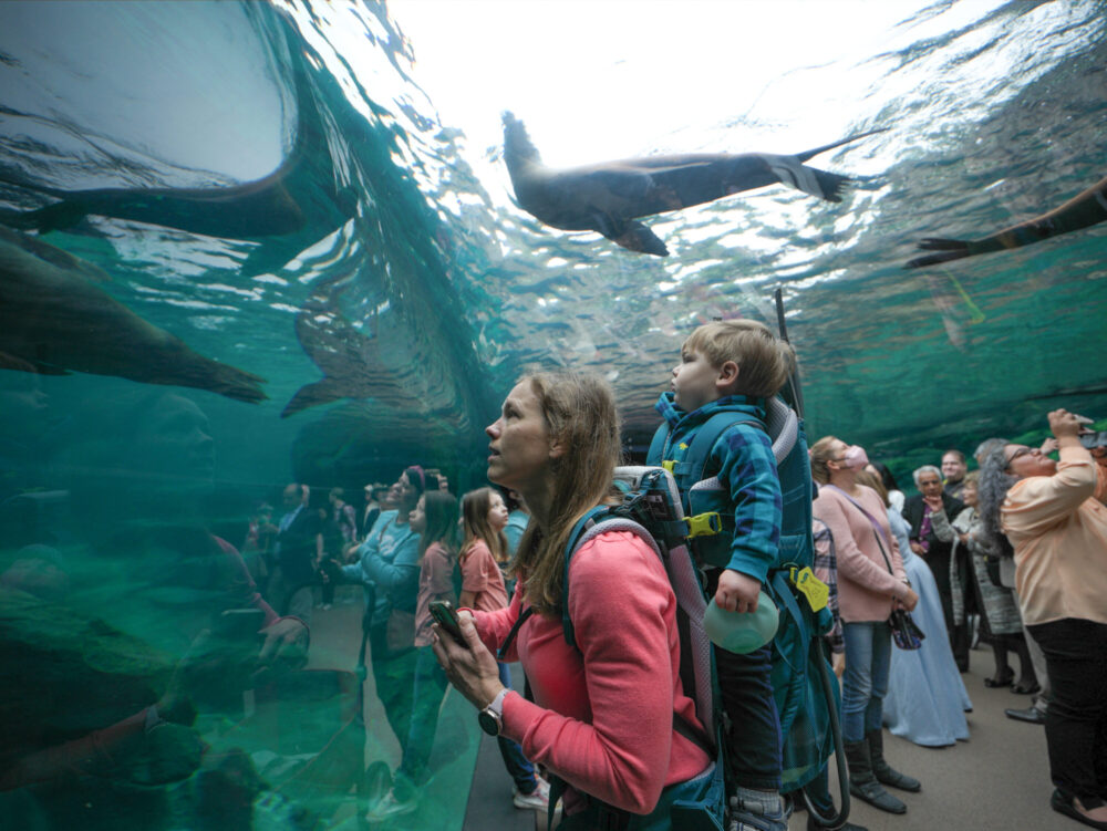 Houston Zoo offers Galapagos Islands experience with new exhibit