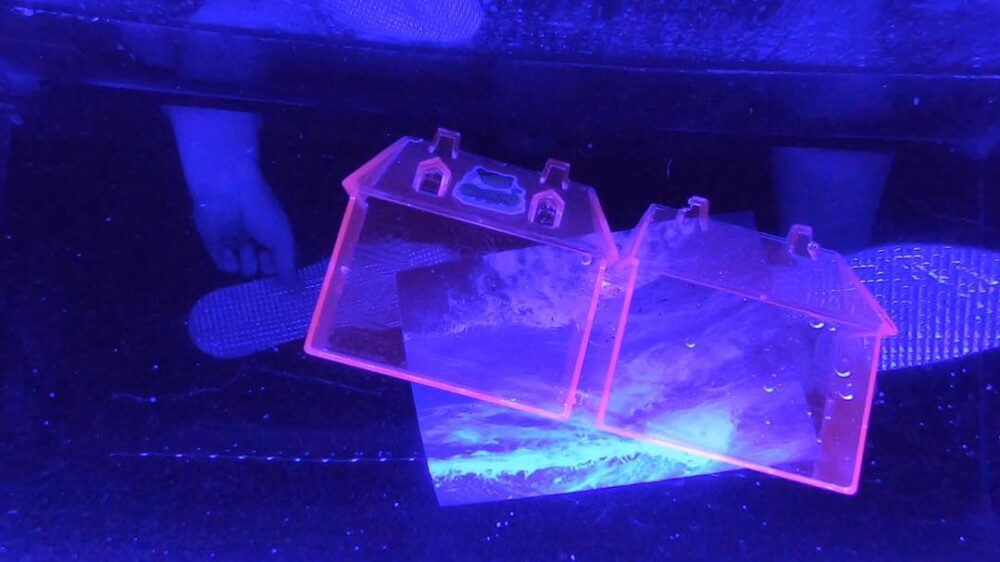Image of transparent plastic house submerged in water under black light