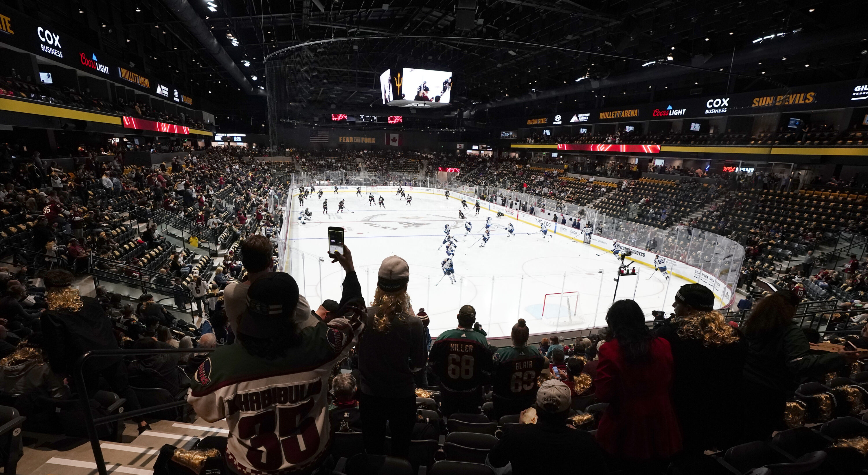 Houston a potential relocation spot for NHLs Arizona Coyotes, hockey insiders say