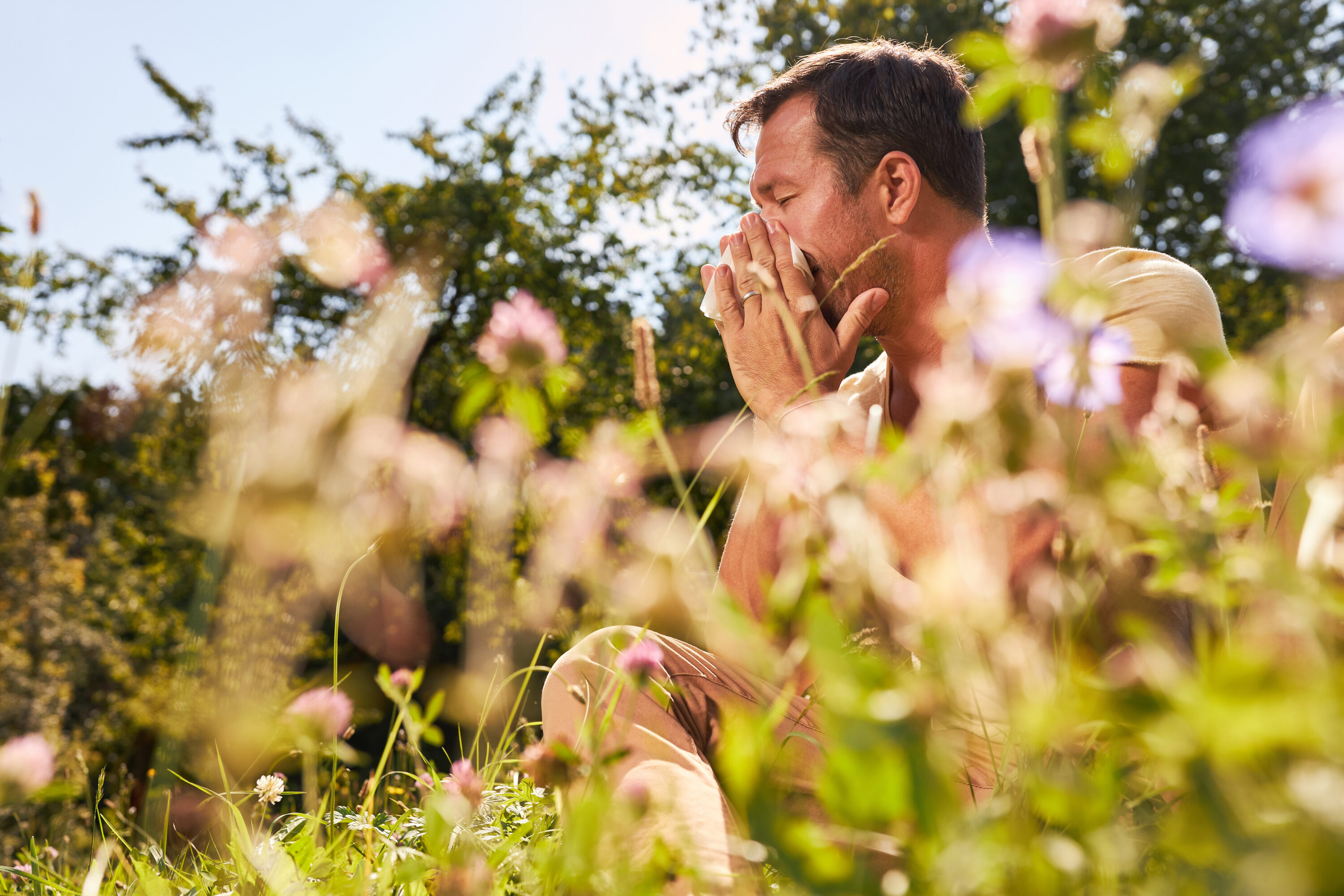 Fall allergies in Houston will be a big problem after hot and dry ...