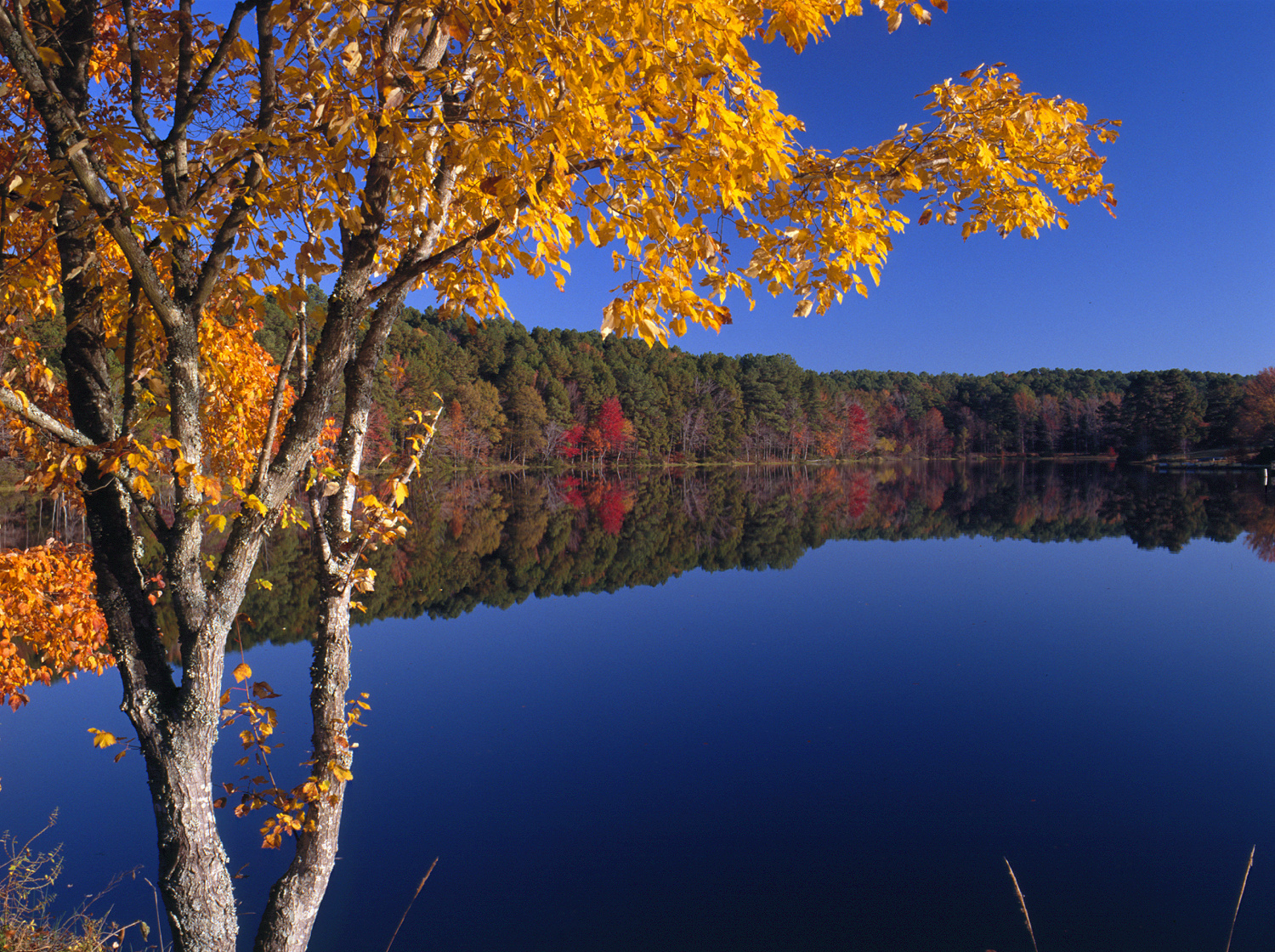Texas parks department votes to take over Fairfield Lake State Park – Houston Public Media - Vimarsana News