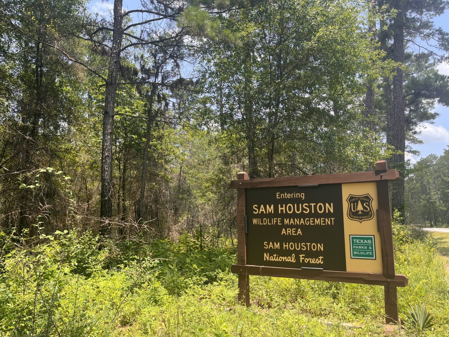 feds-reviewing-best-way-to-conserve-east-texas-forests-houston-public