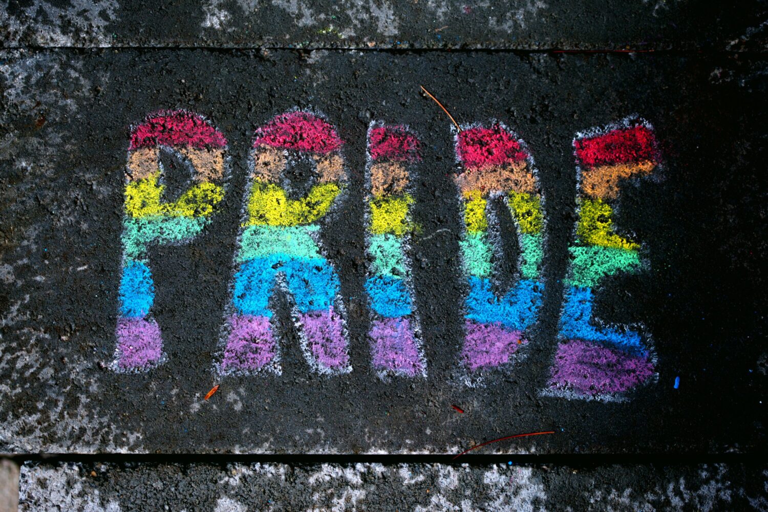 Talk of the Town: Pride Special; Plus, "Science Friday's" Cephalopod Week – Houston Public Media - Vimarsana News