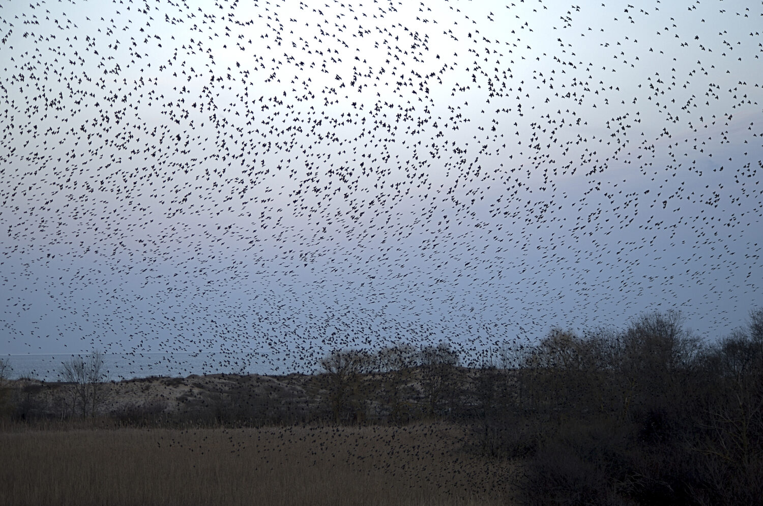 Could "drone swarms" help aid humanity during disasters? – Houston Public Media - Vimarsana News