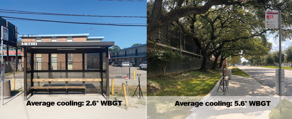 On average, tree shade was twice as effective at cooling as bus shelters, according to temperature readings from the pilot study.