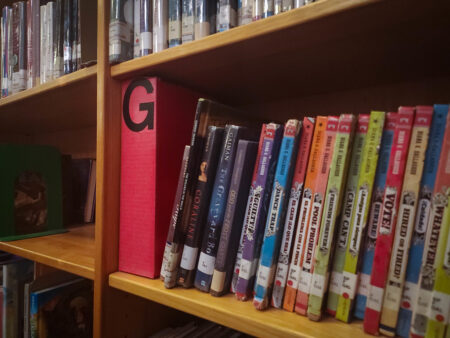 The Texas Legislature passed a law this year to ban "sexually explicit" materials from school libraries.