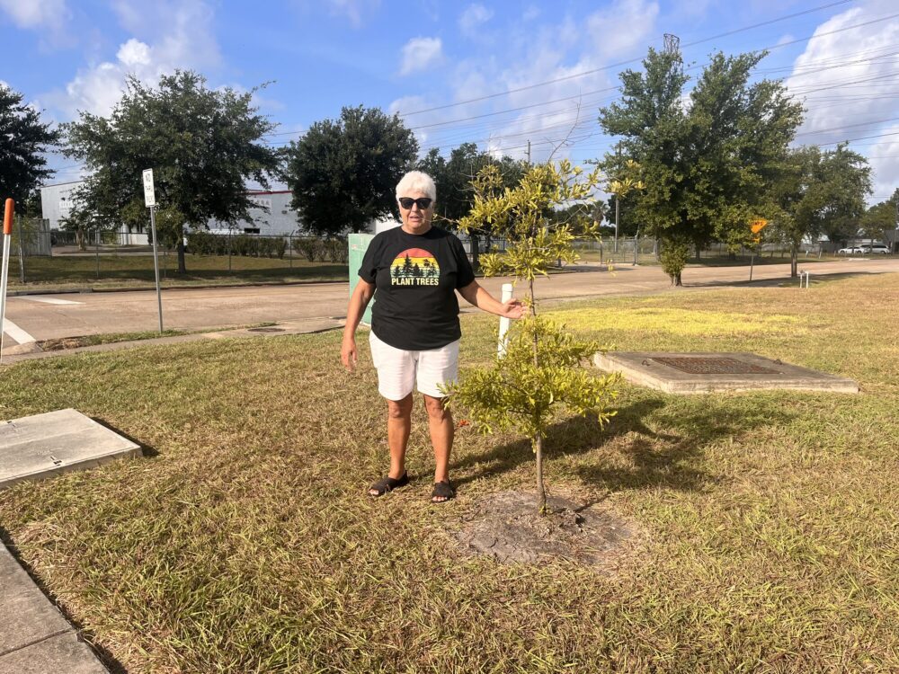 Alief resident Barbara Quattro stands next to the tree she planted to help shade people from the heat at a bus stop.