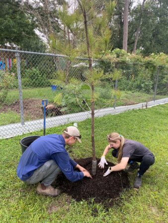 Partner organizations, like Trees for Houston, are a big part of the city's goal to plant 4.6 million trees by 2030.