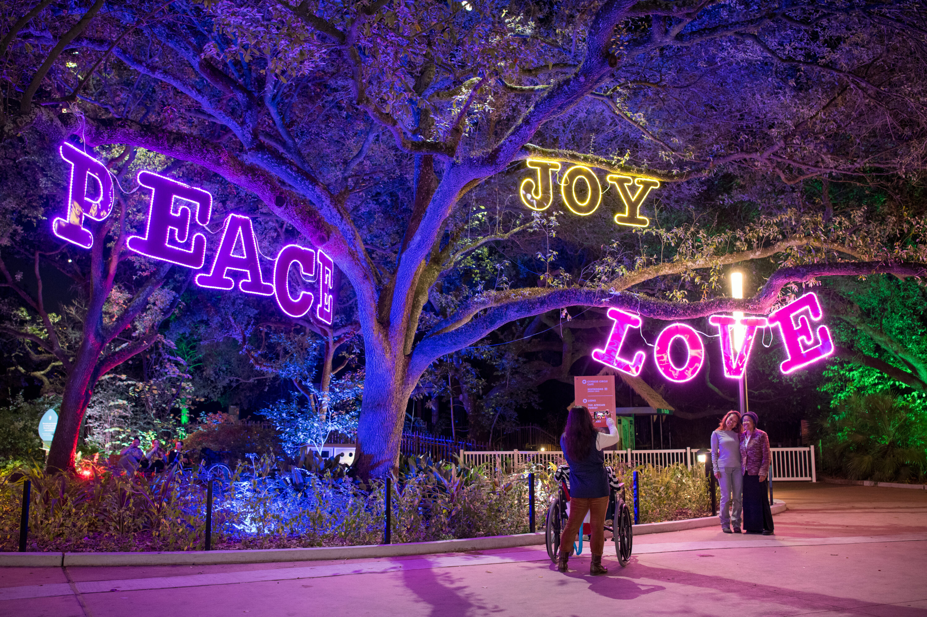 Houston Zoo gearing up for annual Zoo Lights holiday events Houston
