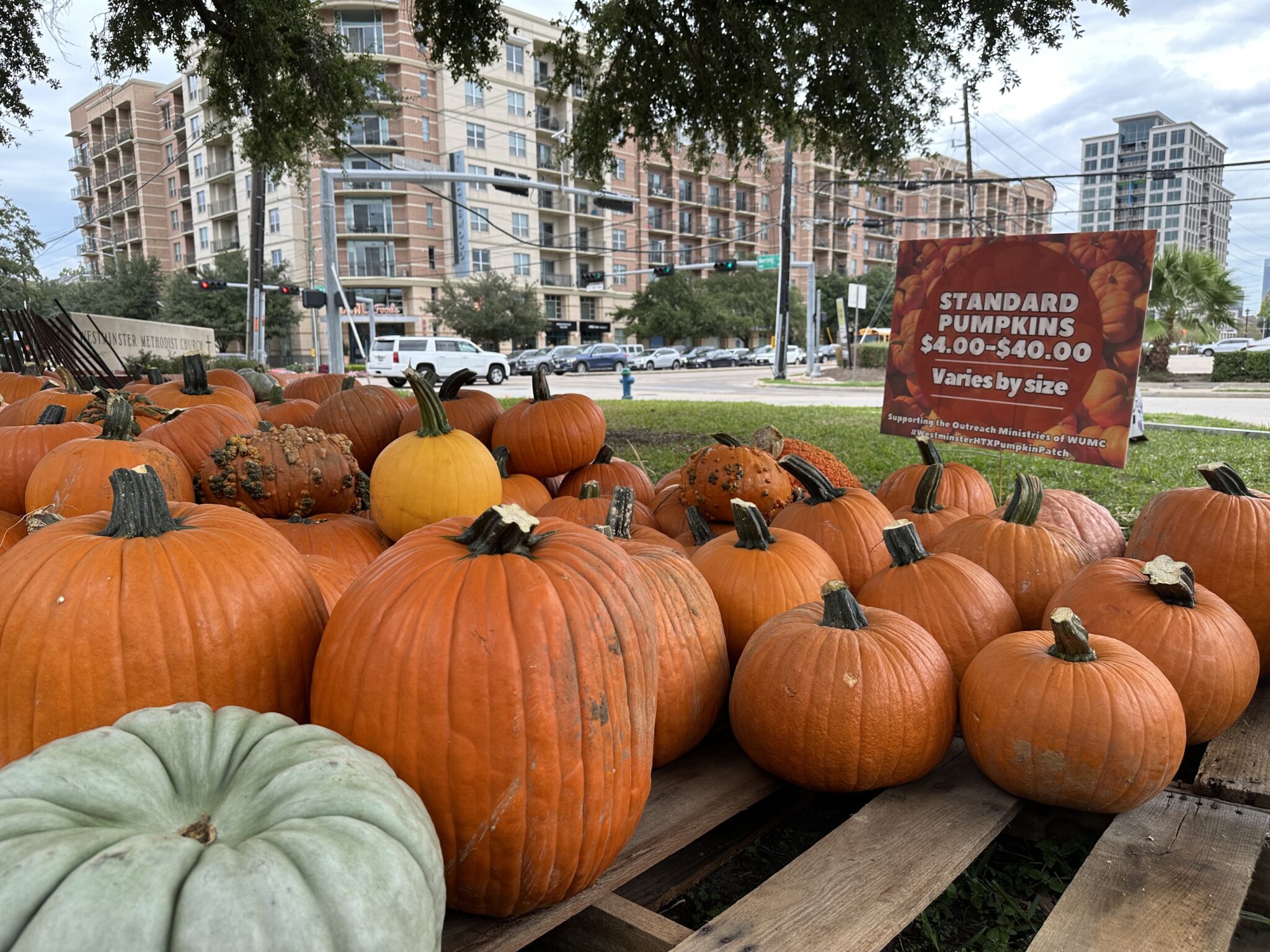 Houston residents encouraged to drop off old pumpkins at composting ...