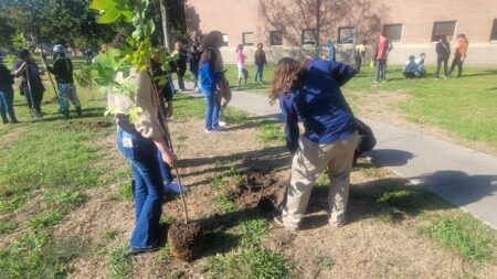 Students plant trees outside of Caesar Chavez High School.